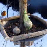 photo 2019-01-11 14-53-02