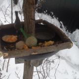 photo 2019-01-23 07-42-28