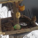 photo 2019-01-27 13-20-15