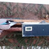 photo 2021-03-08 06-15-31