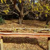 photo 2021-10-21 10-54-19