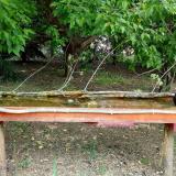 photo 2021-05-12 12-11-05