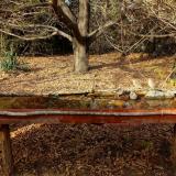 photo 2021-10-26 14-35-14