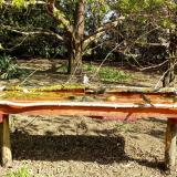 photo 2021-04-12 09-48-48