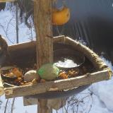 photo 2019-01-27 09-55-17