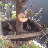 photo 2019-12-04 10-06-20