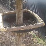 photo 2019-02-24 08-47-20