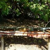 photo 2021-10-02 11-51-31