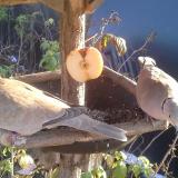 photo 2019-12-03 14-01-38