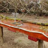 photo 2021-03-30 13-17-01