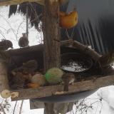 photo 2019-01-27 11-44-54