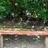 photo 2021-08-04 13-47-32