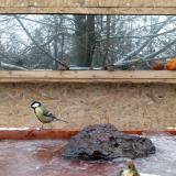 photo 2022-01-22 09-50-09