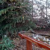 photo 2021-11-15 07-28-41