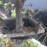 photo 2019-12-02 08-09-46