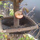 photo 2019-12-04 14-57-13