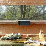 photo 2023-10-25 13-29-09