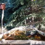 photo 2023-10-16 09-16-48