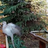 photo 2021-11-12 14-24-04