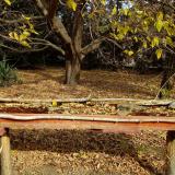 photo 2021-10-21 10-55-04