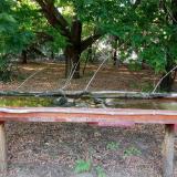 photo 2021-07-12 18-24-48