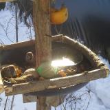 photo 2019-01-27 10-05-37