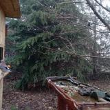 photo 2021-12-16 09-49-35