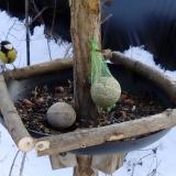 photo 2019-01-11 13-13-49