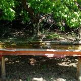 photo 2021-05-09 11-38-53