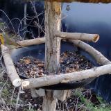 photo 2019-01-02 15-32-44