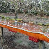 photo 2021-03-31 17-40-12