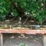 photo 2021-08-04 14-09-54