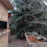 photo 2021-12-27 10-18-21