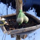 photo 2019-01-09 14-27-39