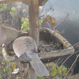 photo 2019-12-11 07-28-46