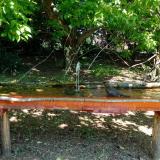 photo 2021-05-08 11-15-07