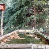 photo 2023-10-04 11-02-20