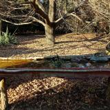 photo 2021-10-29 15-36-59