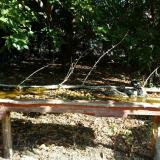 photo 2021-09-19 09-24-13