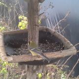 photo 2019-12-21 09-08-27