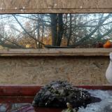 photo 2022-01-24 15-45-22