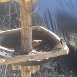 photo 2019-02-18 11-46-38