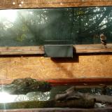 photo 2023-10-24 08-51-34