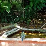 photo 2021-08-25 12-31-36 cinke