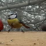 photo 2022-01-16 11-28-29 kek