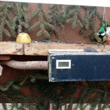 photo 2021-02-07 13-35-35