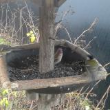 photo 2019-12-26 08-10-10