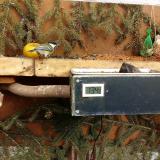 photo 2021-02-14 14-06-01