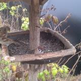 photo 2019-12-12 09-48-23