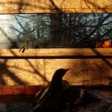 photo 2022-01-24 08-51-19